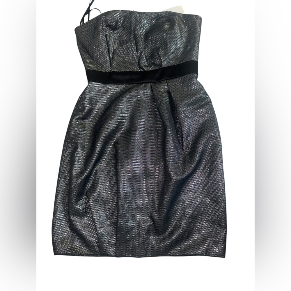 Max & Cleo Strapless Silver Dress